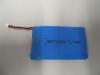 Polymer Battery