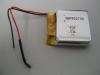 Polymer Battery