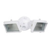 300 Watt Mini Halogen Double Flood Light with Eyebrow Face Frame