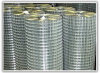 Electrowelding Net Welded Wire Mesh