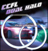 Ultra bright CCFL angel eyes for Toyota IS250 IS300 Carmy