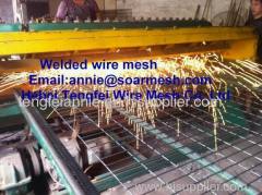 Heavy type welded wire mesh & cloth