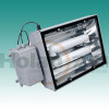 induction lamp for tunnel light