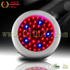 50w mini UFO led grow light