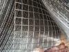 Welded Wire Mesh