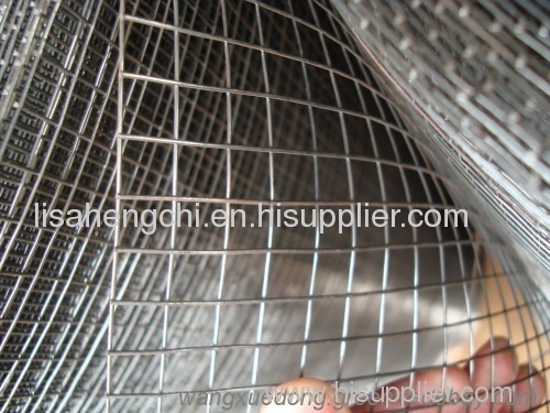 Welded Wire Mesh