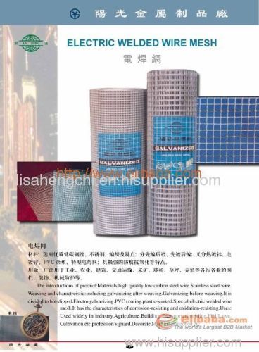 Welded Wire Mesh