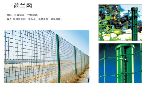 Protective wire mesh fence