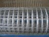 Welded Wire Mesh