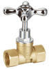 Brass Globe Valve