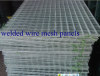 Welded Wire Mesh panel