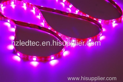 flexible LED rope lights SMD3528 IP65 waterproof