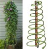 Spiral Tomato Supports