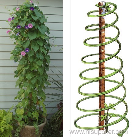 Spiral Tomato Supports
