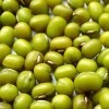 Organic mungbean