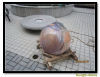 sphere fountain and square fountain