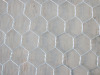 hexagonal wire mesh