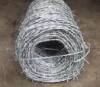 Galvanized Barbed Wire (factory)