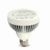 8W dimmable par30 led lamp