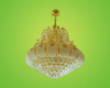 LED Chandelier & pendant lamp