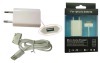 2 in 1 Charger Kit for iPhone 3G/4G