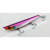 Top Water, Hard Baits, Popper