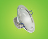 LED down light