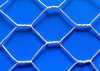 Twisting Hexagonal Net