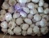 Normal White Garlic from China