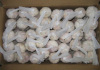 Chinese Fresh Garlic