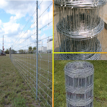 Protective wire mesh fence