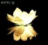 Long Time Floating Water Lantern lotus water lily shape