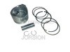 Piston & ring set ( Includes Pin & Clips )