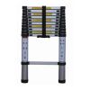 Telescopic ladder