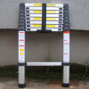 Telescopic ladder