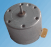 Micro DC motor