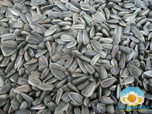 Sunflower seeds