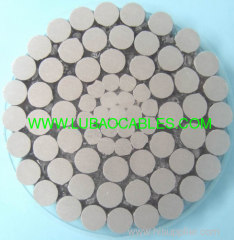 All Aluminum Conductor (AAC AAAC) & Aluminum Conductor Steel Reinforced (ACSR)