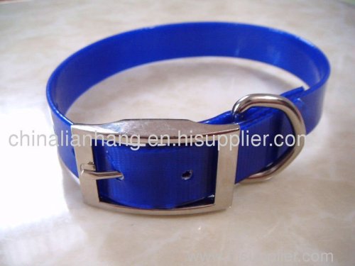 sport dog collar