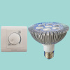 led bulb