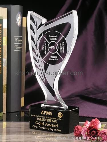 acrylic trophy/award