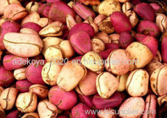 kola nut