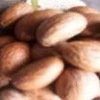 bitter kola nut