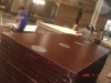 supply plywood and film faced plywood in china