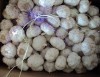 Chinese fresh garlic