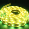 12V Magic LED Strip Light with 120° Beam Angle, Measures 5,000 x 10mm