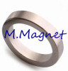 Huge Ring magnet