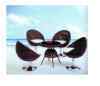 out door ratten table and chair