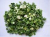 dehydrated chive roll/dehydrated shallot roll /dried spring onion roll manufacturer