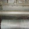 hexagoanl wire netting